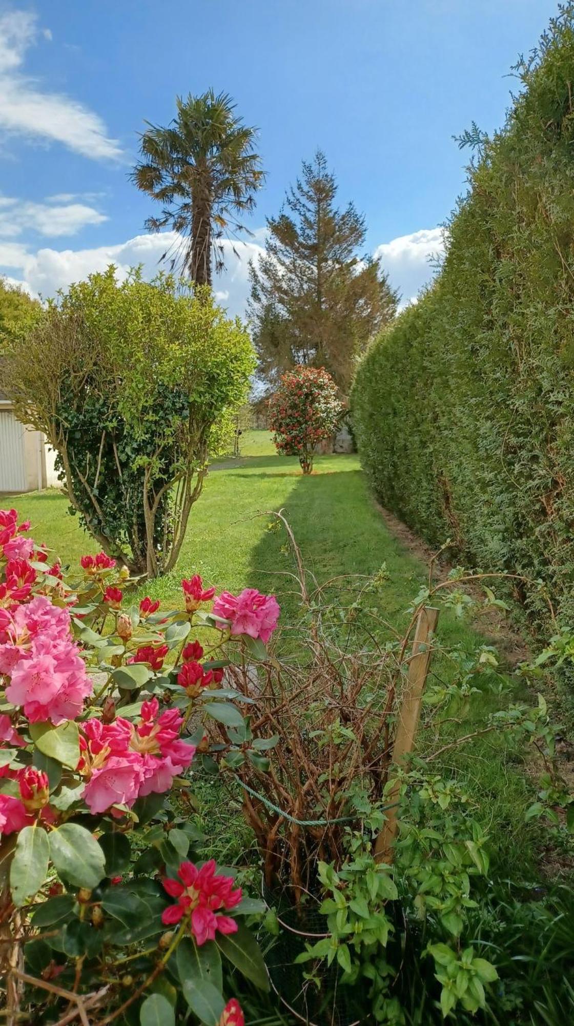 فيلا La Bretagne Ca Vous Gagne Ploufragan المظهر الخارجي الصورة